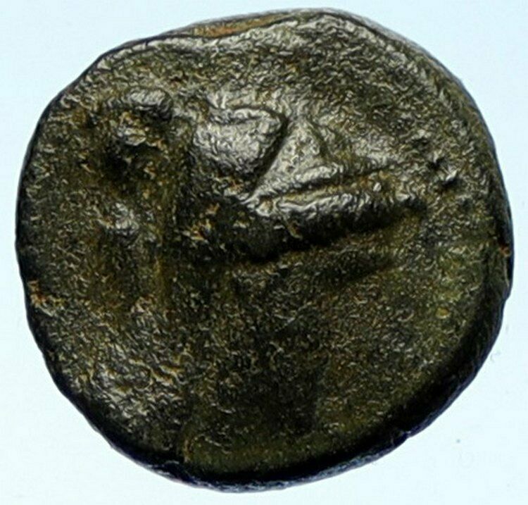 SELEUKOS IV Philopater Seleukid OLD Greek Coin QUEEN LAODIKE IV Elephant i103884