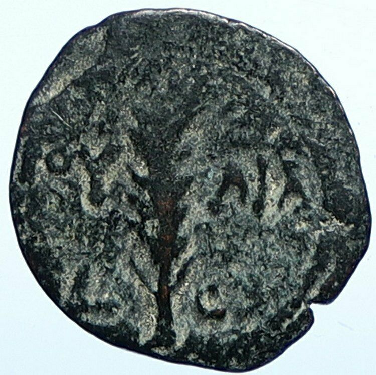 VALERIUS GRATUS Roman Jerusalem Prefect TIBERIUS LIVIA Old Biblical Coin i107711