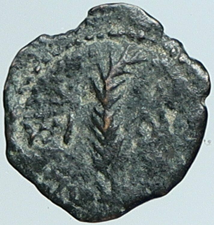 VALERIUS GRATUS Roman Jerusalem Prefect TIBERIUS LIVIA Old Biblical Coin i108054