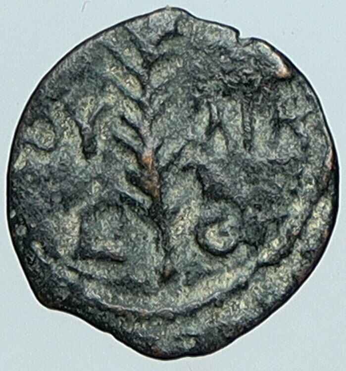 VALERIUS GRATUS Roman Jerusalem Prefect TIBERIUS LIVIA Old Biblical Coin i108119