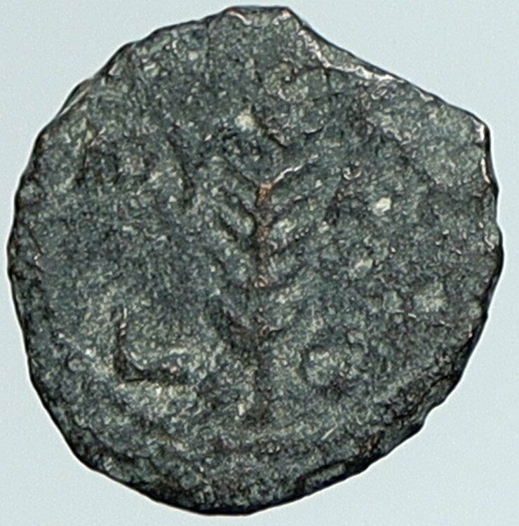 VALERIUS GRATUS Roman Jerusalem Prefect TIBERIUS LIVIA Old Biblical Coin i108070