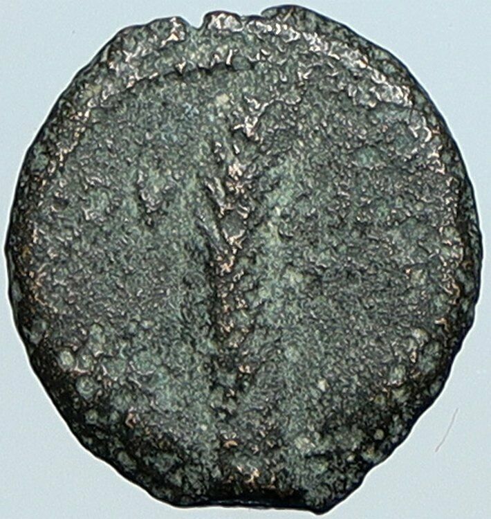 VALERIUS GRATUS Roman Jerusalem Prefect TIBERIUS LIVIA Old Biblical Coin i108103