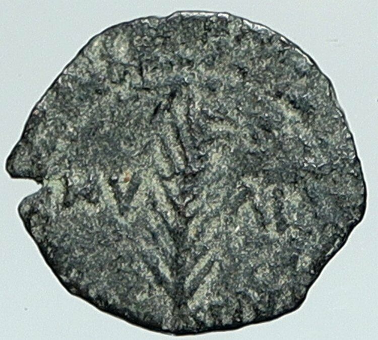 VALERIUS GRATUS Roman Jerusalem Prefect TIBERIUS LIVIA Old Biblical Coin i108081