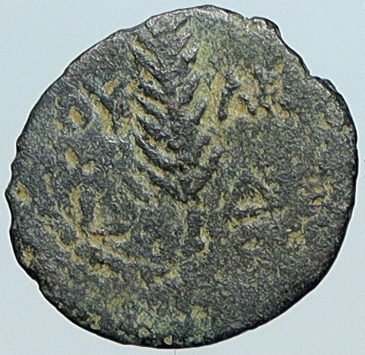 VALERIUS GRATUS Roman Jerusalem Prefect TIBERIUS LIVIA Old Biblical Coin i108114