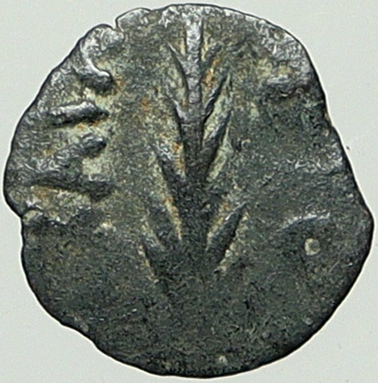 NERO Ancient Biblical Old JERUSALEM Roman Coin PORCIUS FESTUS St Paul i108171