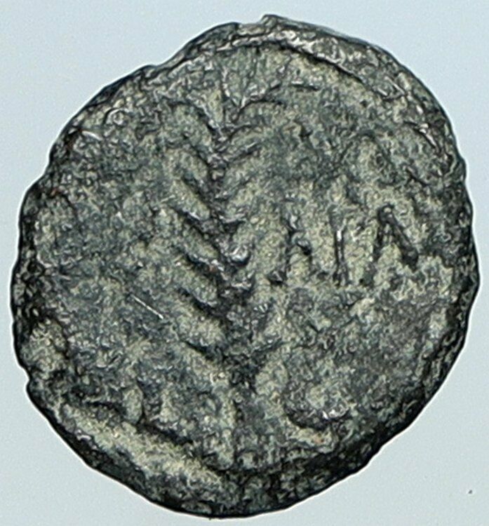 VALERIUS GRATUS Roman Jerusalem Prefect TIBERIUS LIVIA Old Biblical Coin i108125