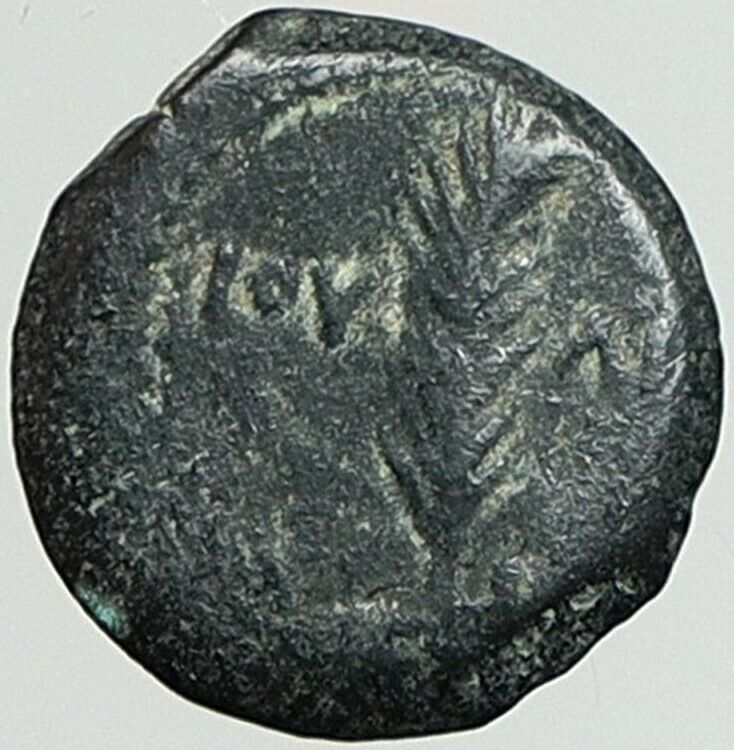 VALERIUS GRATUS Roman Jerusalem Prefect TIBERIUS LIVIA Old Biblical Coin i108146