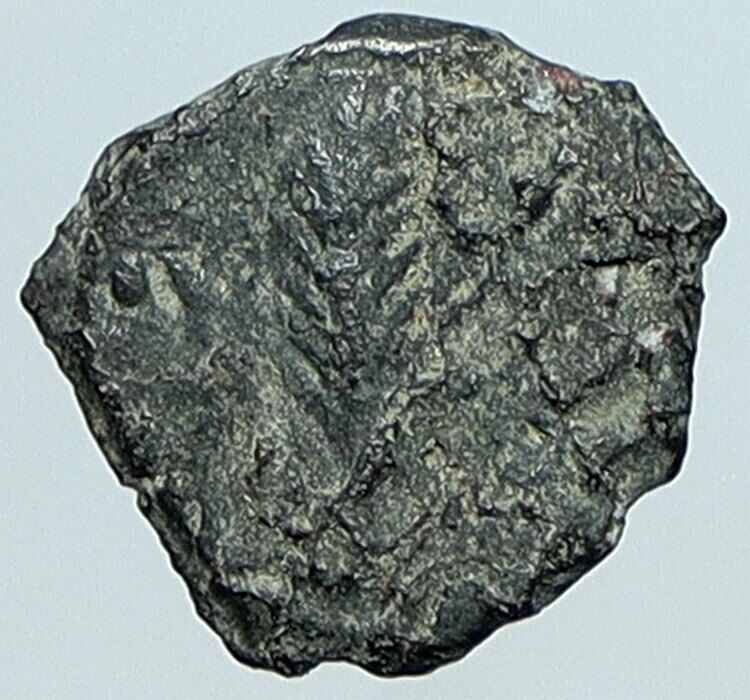 VALERIUS GRATUS Roman Jerusalem Prefect TIBERIUS LIVIA Old Biblical Coin i108112