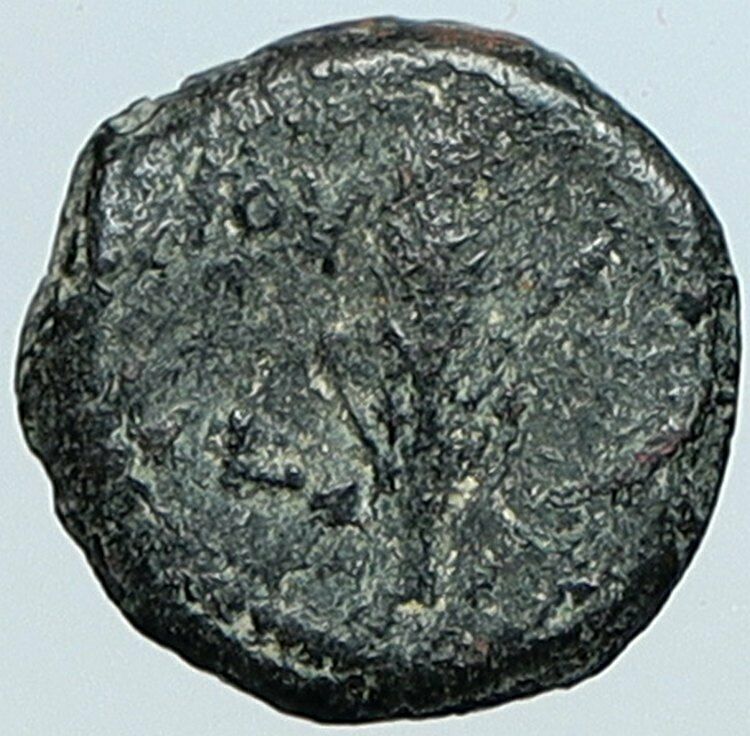 VALERIUS GRATUS Roman Jerusalem Prefect TIBERIUS LIVIA Old Biblical Coin i108117