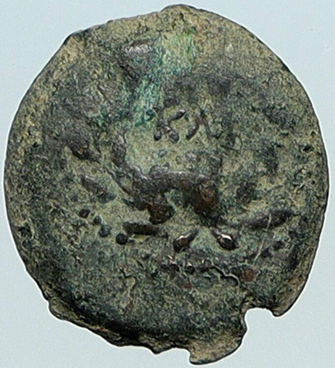 VALERIUS GRATUS Roman Jerusalem Prefect TIBERIUS LIVIA Old Biblical Coin i108137