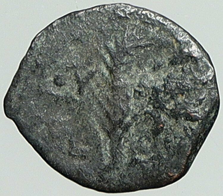 VALERIUS GRATUS Roman Jerusalem Prefect TIBERIUS LIVIA Old Biblical Coin i108143