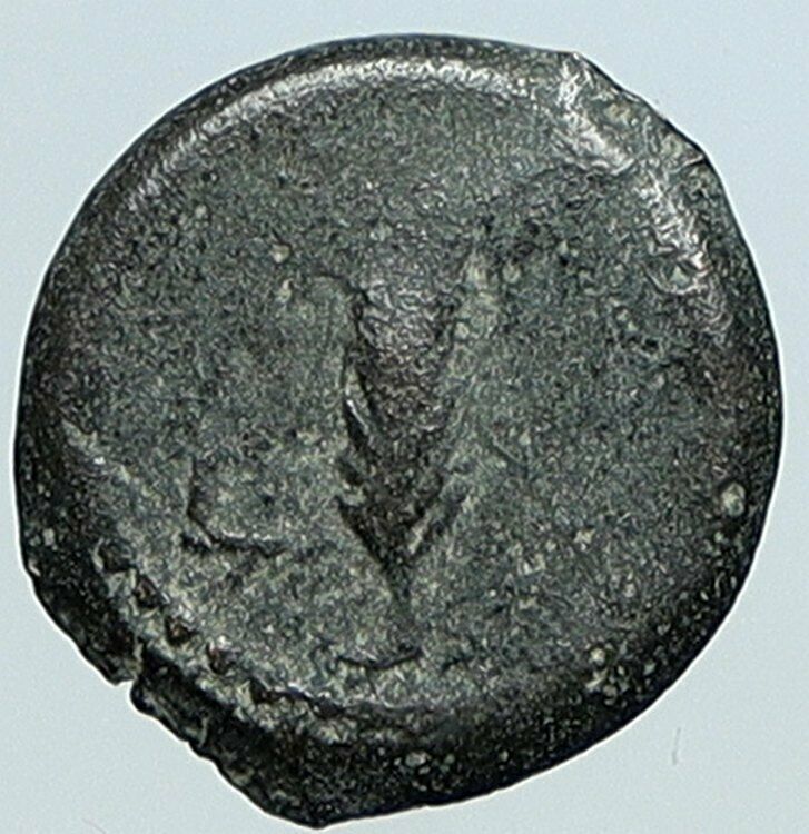 VALERIUS GRATUS Roman Jerusalem Prefect TIBERIUS LIVIA Old Biblical Coin i108130