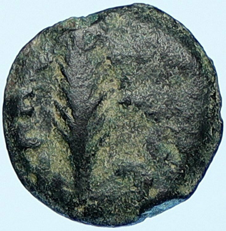 NERO Ancient Biblical Old JERUSALEM Roman Coin PORCIUS FESTUS St Paul i108659