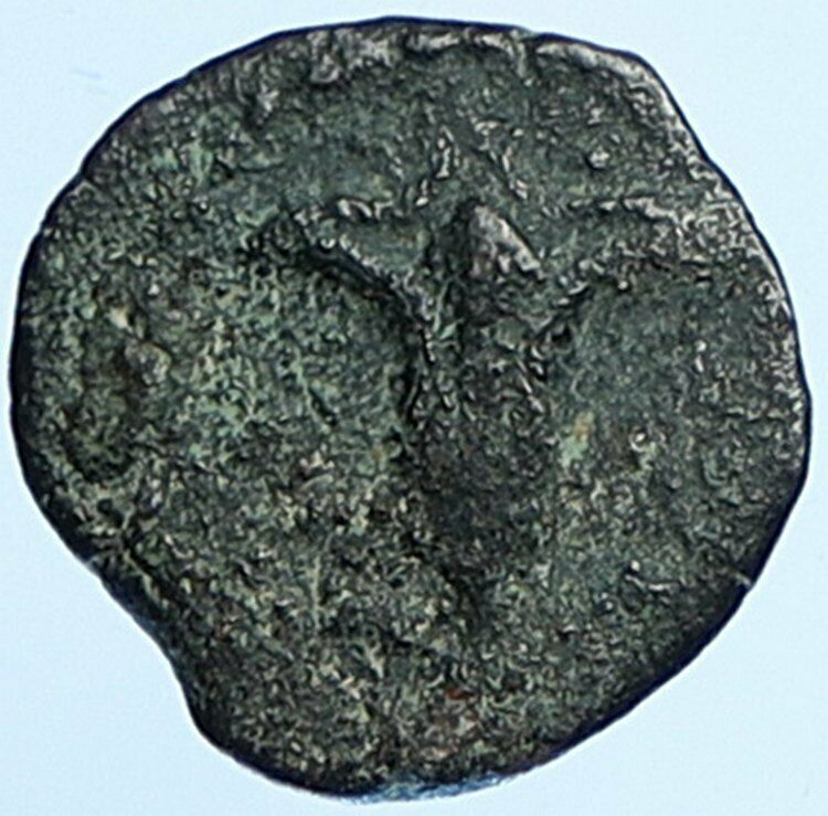 JOHN HYRCANUS & ANTIOCHUS VII in JEWISH Jerusalem Coin LILY Hendin 1131 i108708