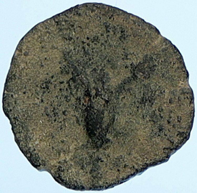 JOHN HYRCANUS & ANTIOCHUS VII in JEWISH Jerusalem Coin LILY Hendin 1131 i108707