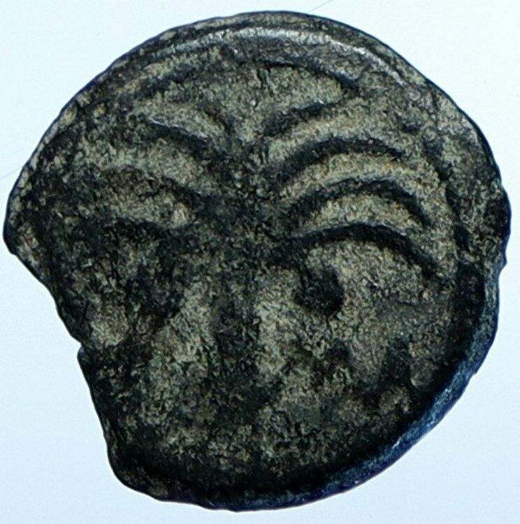 MARCUS AMBIBULUS Augustus Jerusalem Old BIBLICAL Roman Coin Hendin 1331 i107675