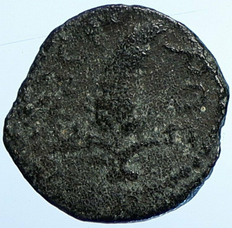 MARCUS AMBIBULUS Augustus Jerusalem Old BIBLICAL Roman Coin Hendin 1329 i107686