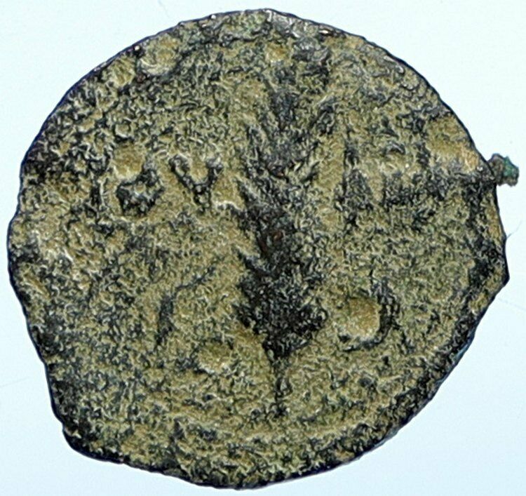 VALERIUS GRATUS Roman Jerusalem TIBERIUS LIVIA Biblical Coin Hendin 1340 i107695