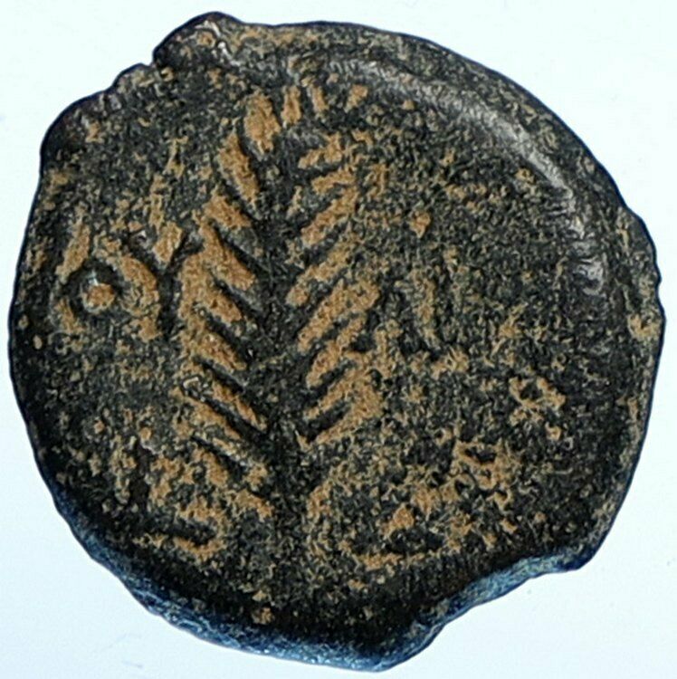 VALERIUS GRATUS TIBERIUS Roman Jerusalem Biblical Coin LIVIA Hendin 1338 i107691