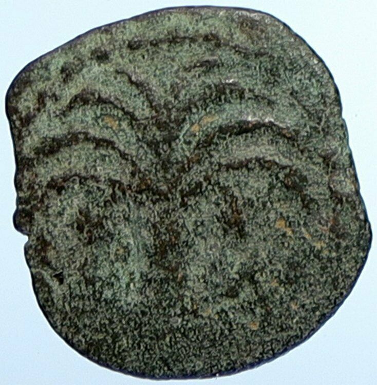 MARCUS AMBIBULUS Augustus Jerusalem Old BIBLICAL Roman Coin Hendin 1329 i107681