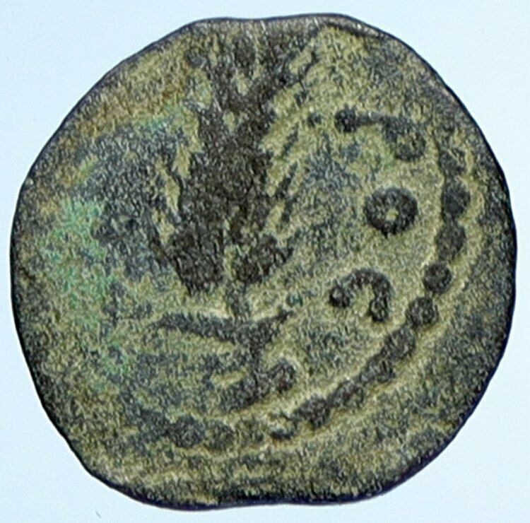 MARCUS AMBIBULUS Augustus Jerusalem Ancient 8-11AD BIBLICAL Roman Coin i107634