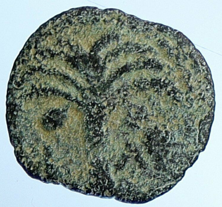 MARCUS AMBIBULUS Augustus Jerusalem Old BIBLICAL Roman Coin Hendin 1329 i107649