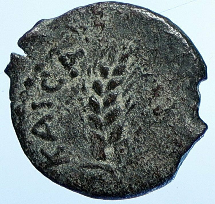 MARCUS AMBIBULUS Augustus Jerusalem Old BIBLICAL Roman Coin Hendin 1329 i107651