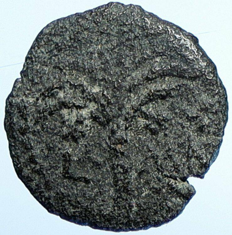 MARCUS AMBIBULUS Augustus Jerusalem Old BIBLICAL Roman Coin Hendin 1331 i107650