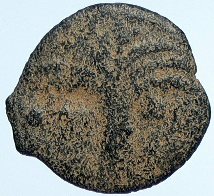 MARCUS AMBIBULUS Augustus Jerusalem Old BIBLICAL Roman Coin Hendin 1331 i107642