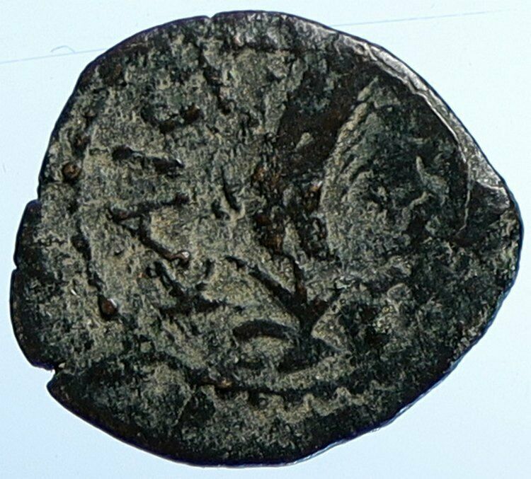 MARCUS AMBIBULUS Augustus Jerusalem Old BIBLICAL Roman Coin Hendin 1329 i107646