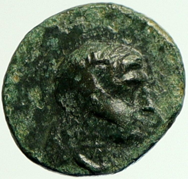 ANTIOCHOS III the GREAT - Rare R1 Ancient Greek SELEUKID Coin ELEPHANT i104402