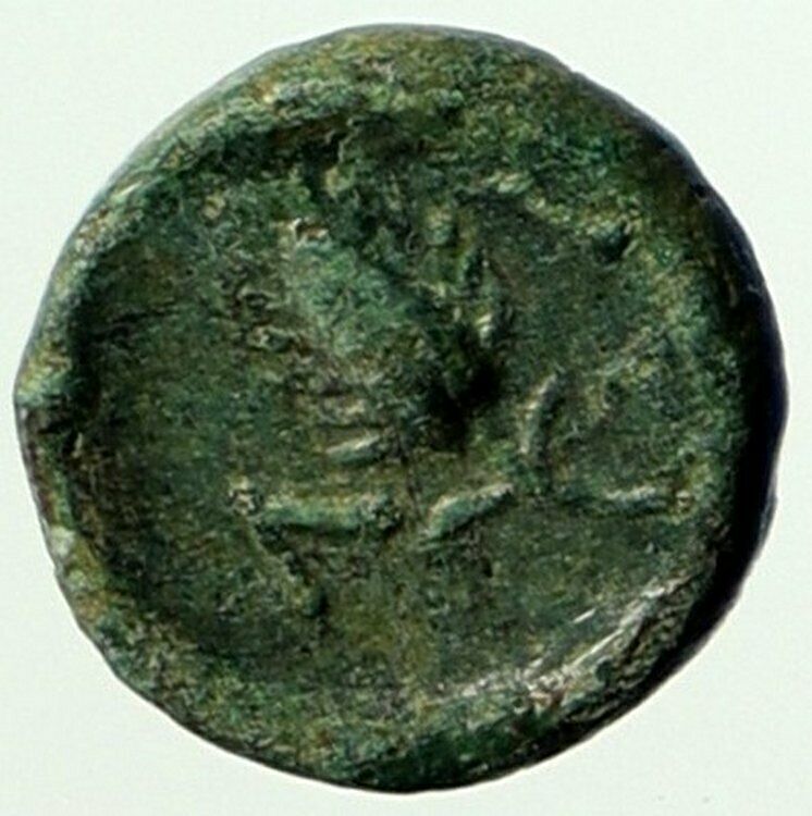 LYSIMACHEIA Thrace LYSIMACHOS City 309BC Ancient Greek Coin ATHENA GRAIN i104403