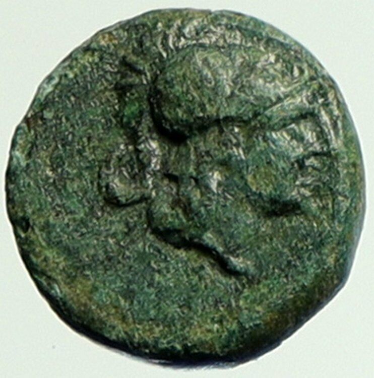 LYSIMACHEIA Thrace LYSIMACHOS City 309BC Ancient Greek Coin ATHENA GRAIN i104403