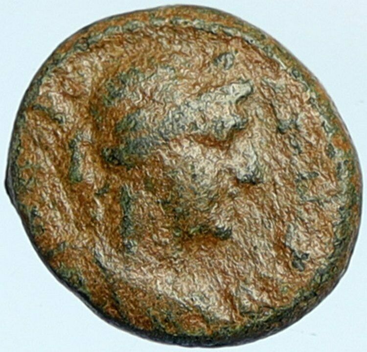 HADRIAN ANTIOCH on the ORONTES Ancient Authentic Old Greek Coin LYRE i101921