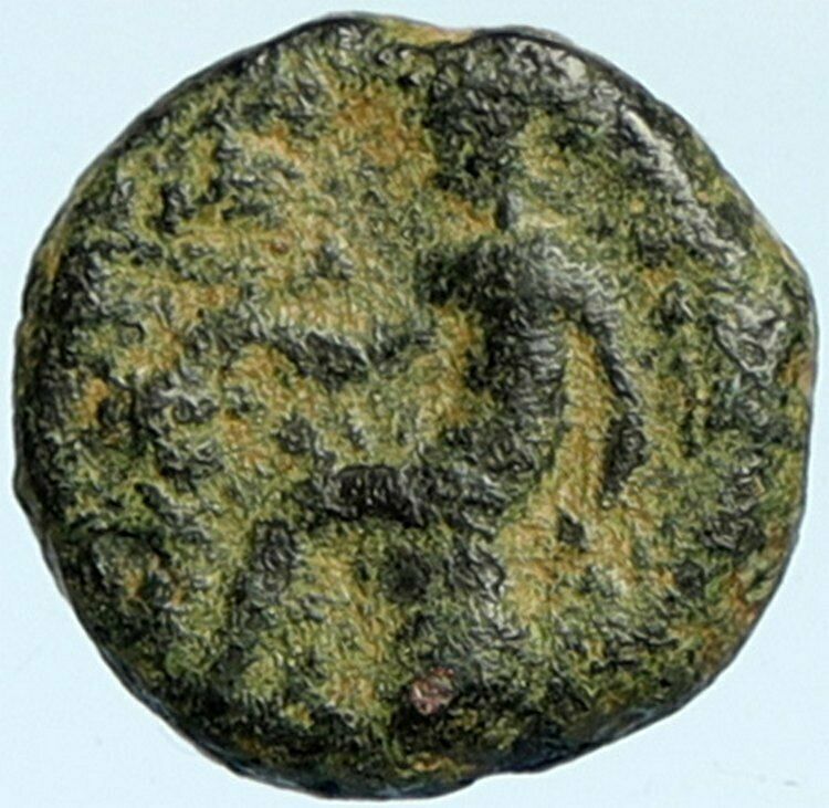 ANTIOCHUS III Seleucid Authentic ANTIQUE Ancient OLD Greek Coin APOLLO i101926