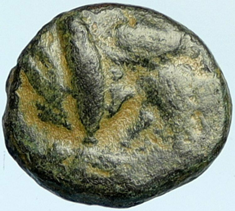 SELEUKOS III Keraunos 225BC Seleukid Ancient Greek Coin ARTEMIS APOLLO i101931