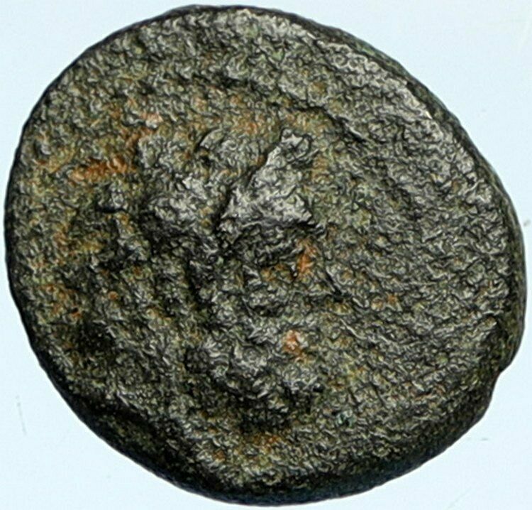 ARADOS in PHOENICIA Authentic Ancient 206BC Greek Coin w ZEUS & GALLEY i101935