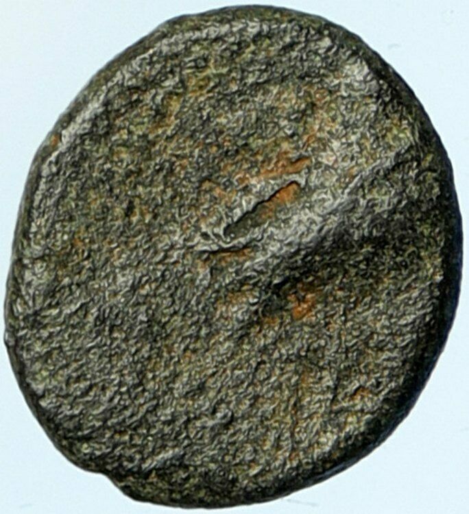 ARADOS in PHOENICIA Authentic Ancient 206BC Greek Coin w ZEUS & GALLEY i101935