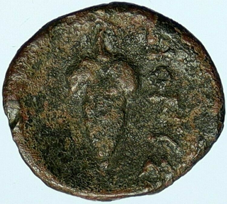 DIONYSOPOLIS MOESIA 220BC Dionysus Grapes Authentic Ancient Greek Coin i101936