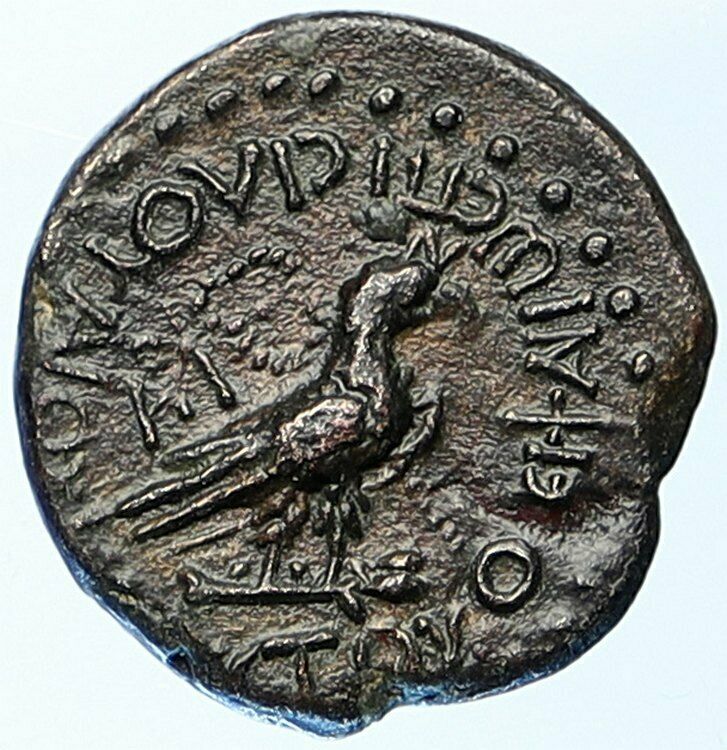 CALIGULA 37AD Amorium in Phrygia Original Ancient OLD Roman Coin EAGLE i108882