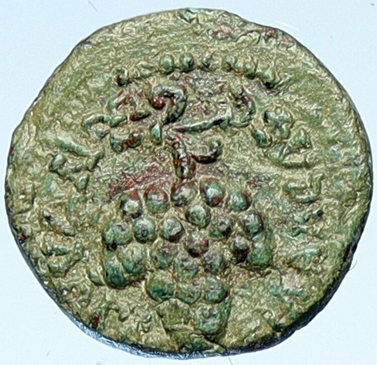 DOMITIA wife of DOMITIAN 81AD Philadelphia in Lydia Roman Coin GRAPES i107570