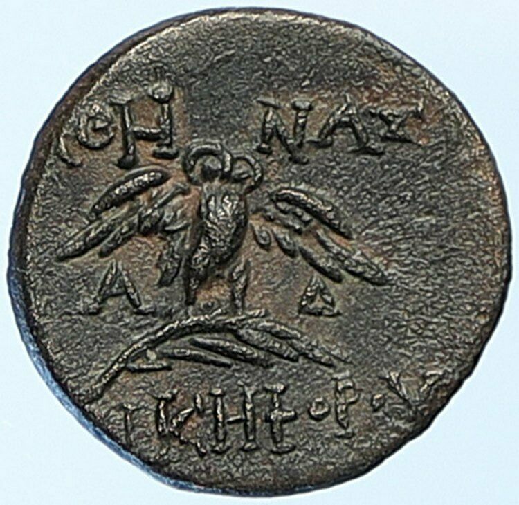 PERGAMON in MYSIA Genuine Authentic Ancient OLD Greek Coin ATHENA OWL i108878