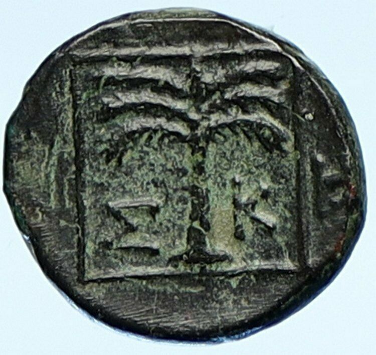 SKEPSIS in TROAS 400BC Pegasus Fir Tree Authentic Ancient OLD Greek Coin i107578