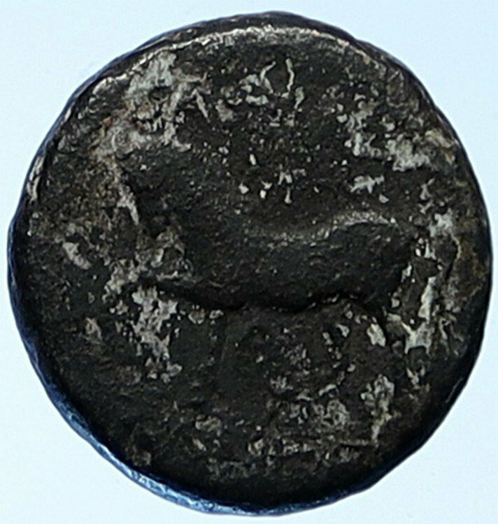 SELEUKOS II Kallinikos 246BC Ancient SELEUKID Antique Greek Coin HORSE i109132