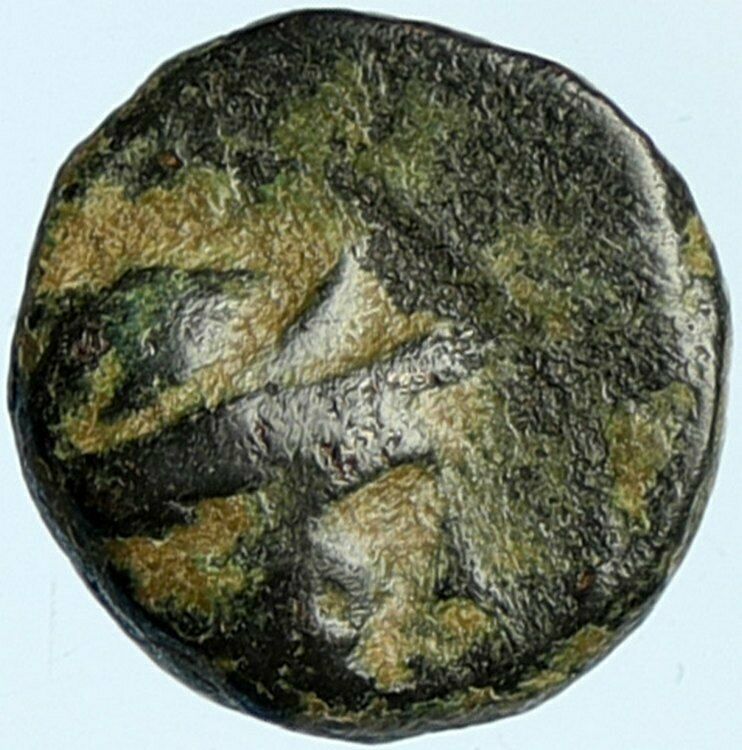 SELEUKOS III Keraunos 225BC Seleukid Ancient Greek Coin ARTEMIS APOLLO i101915