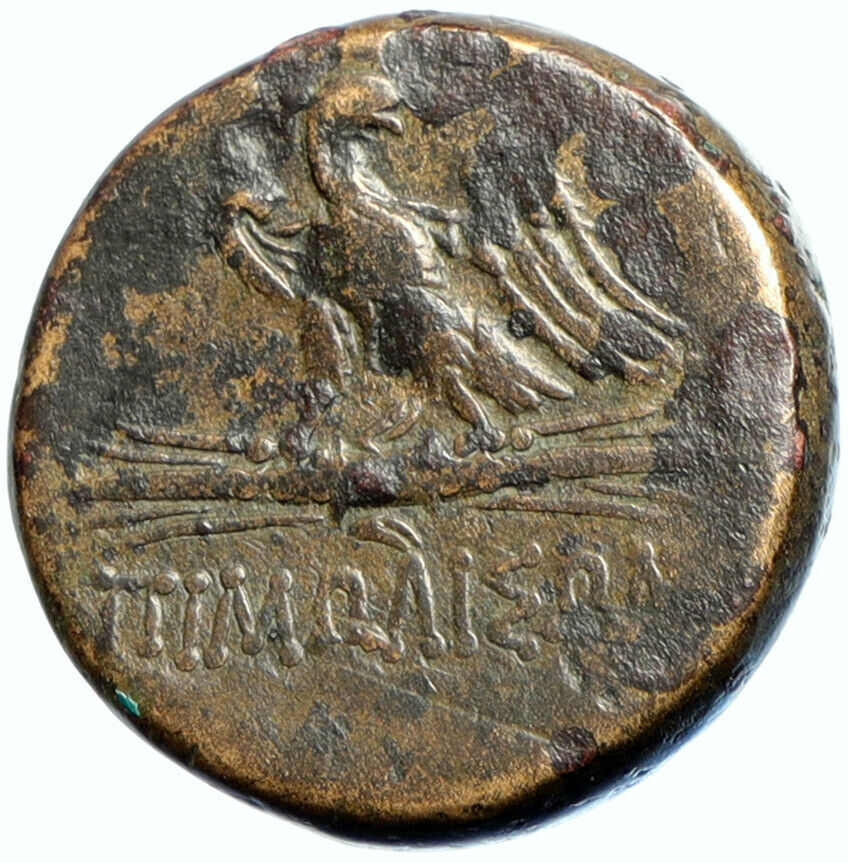 Pimolisa in Paphlagonia MITHRADATES VI the GREAT Time Ancient Greek Coin i102284