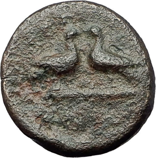 SKIONE in MACEDONIA 400BC VERY RARE Authentic Ancient Greek Coin DOVES i61447