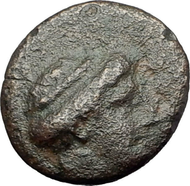 SKIONE in MACEDONIA 400BC VERY RARE Authentic Ancient Greek Coin DOVES i61447