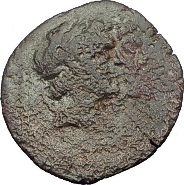 AKE-PTOLEMAIS in PHOENICIA 164BC Authentic Ancient Greek Coin DIOSCURI i64129