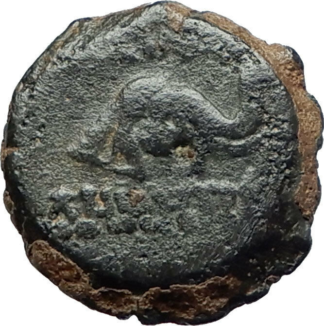 DEMETRIOS I Soter RARE R3 Ancient Seleukid Greek Coin HORSE ELEPHANT i75518